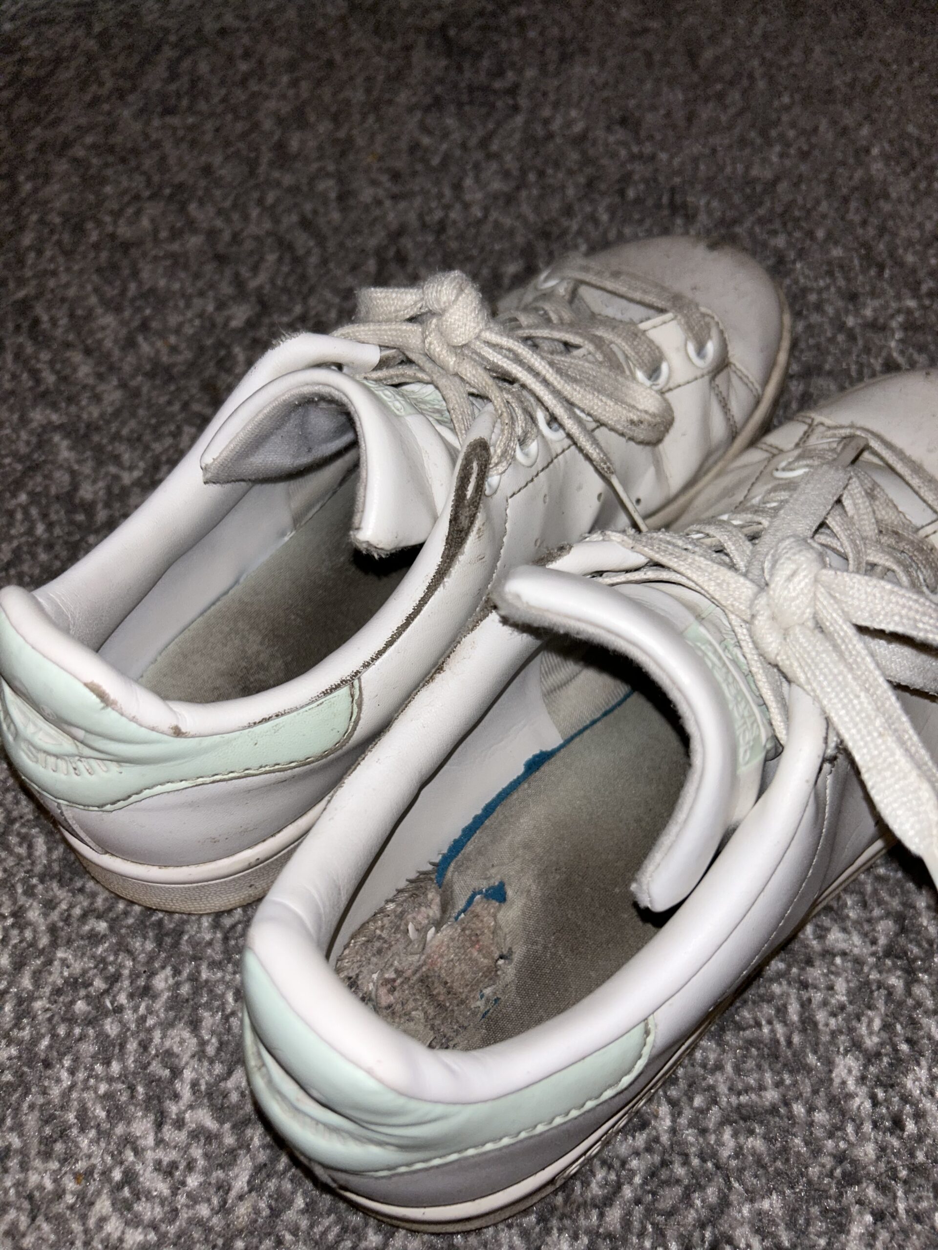 2 Years Worn Stan Smiths - Knickery